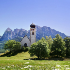 ILSVRC2012_val_00005598