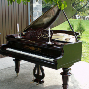 n03452741_grand_piano